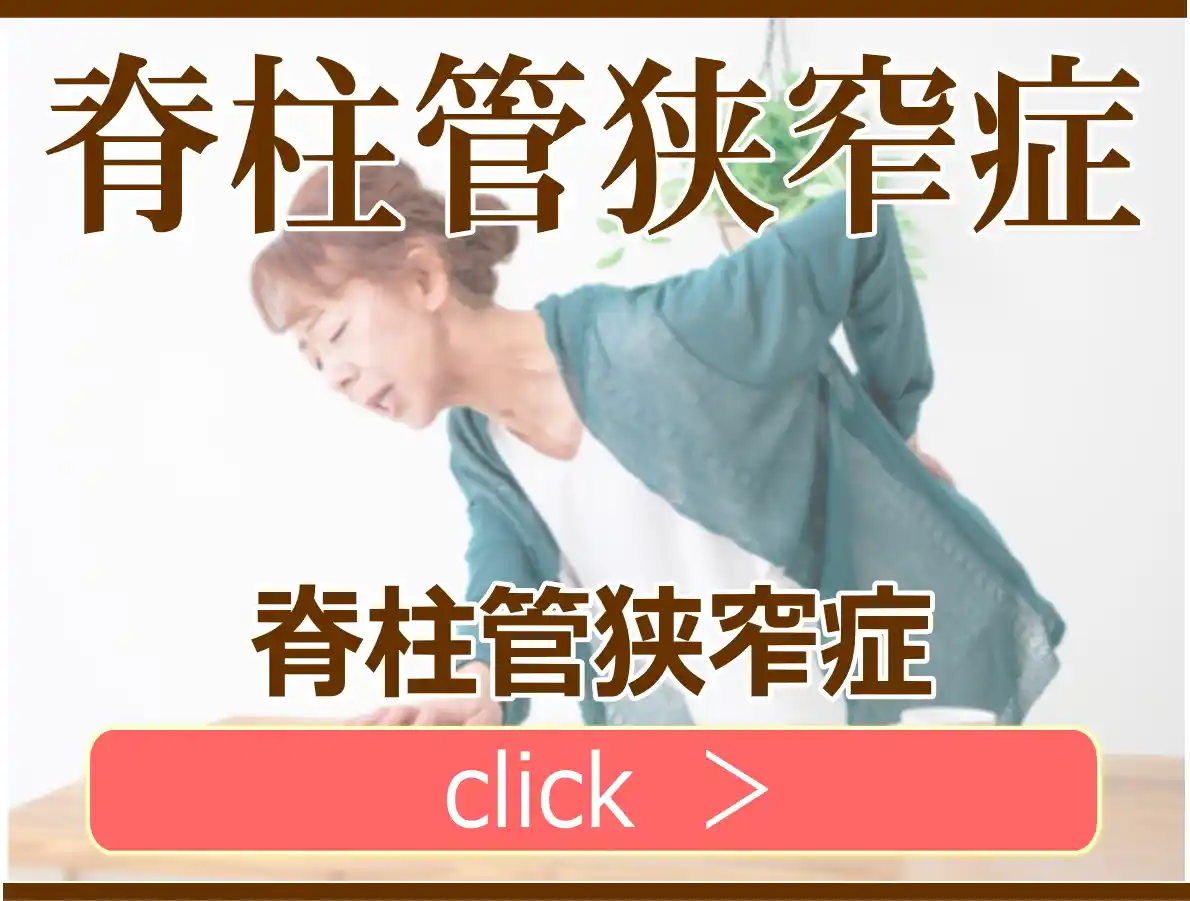 脊柱管狭窄症の解説ページ